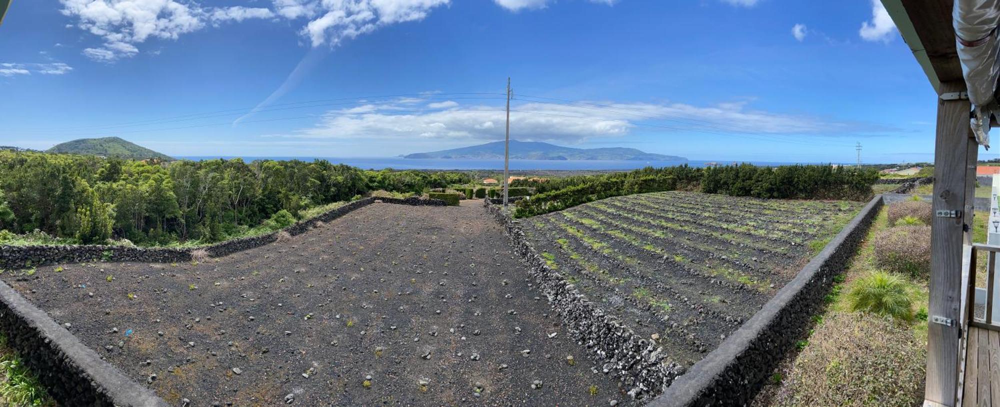 Novavista - Inn Pico Madalena  Buitenkant foto
